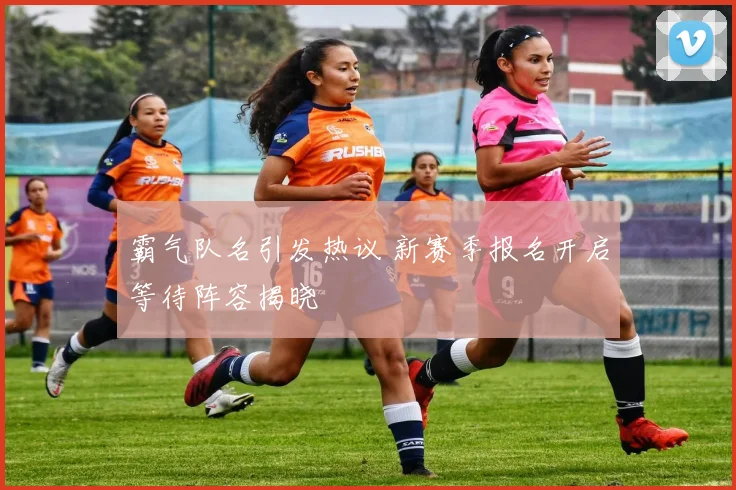霸气队名引发热议 新赛季报名开启等待阵容揭晓